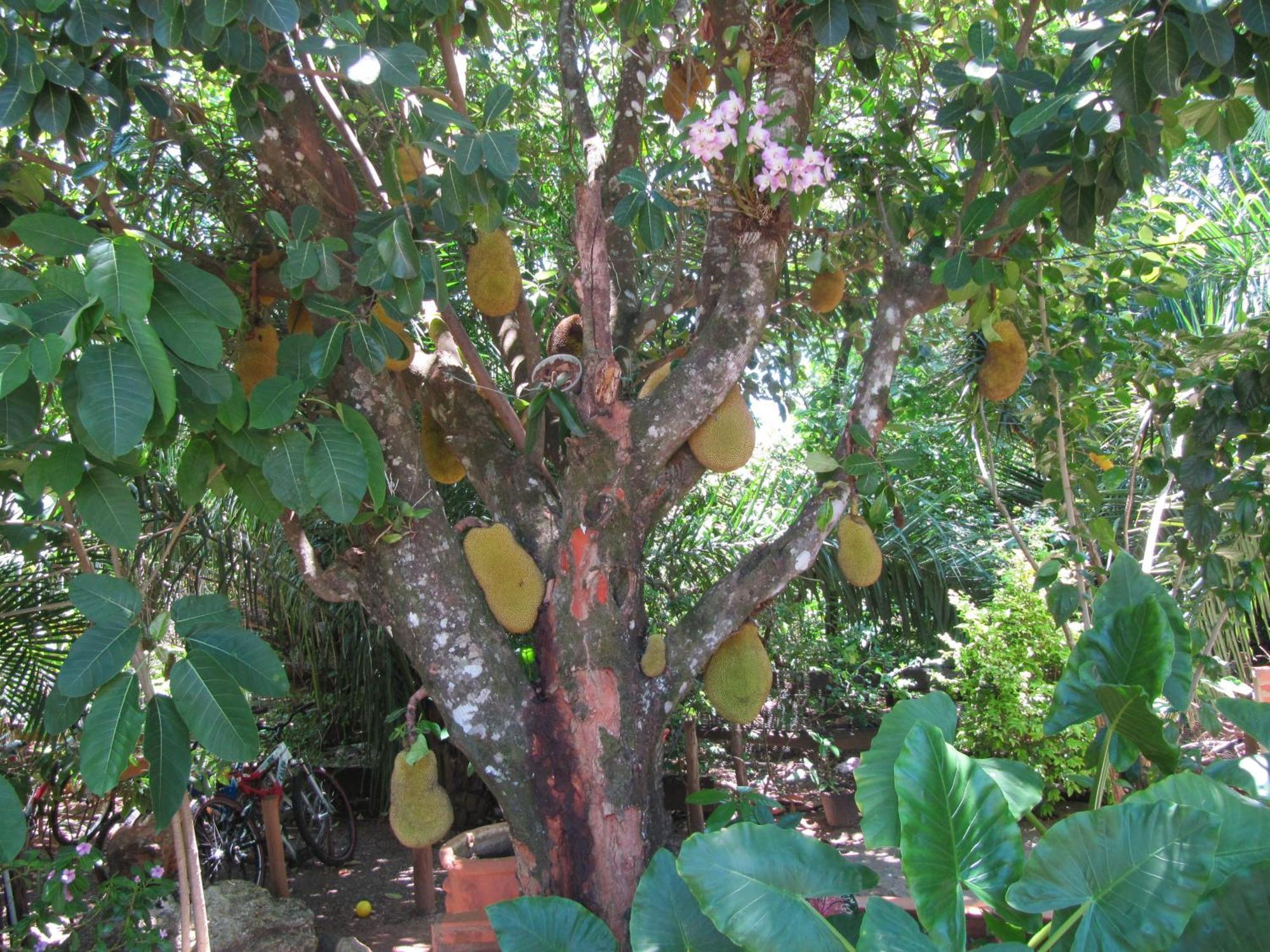 Eco Pousada Villa Verde Bonito (Mato Grosso do Sul) Exterior foto